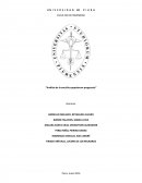 Análisis de la encíclica Popularium Progressio