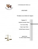Términos que rigen en un juicio de amparo.