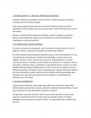 GEORGI LOZANOV Y EL INICIO DEL APRENDIZAJE ACELERADO.