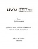 Ensayo “Calidad de vida”
