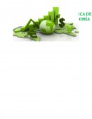 CARACTERIZACION ECONÓMICA DE LAS PROVINCIAS DEL AMAZONAS