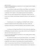 Un vivero es un conjunto de instalaciones agronómicas en el cual se plantan, germinan, maduran y endurecen todo tipo de plantas.