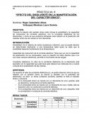 PRÁCTICA No. 6 “EFECTO DEL DISOLVENTE EN LA MANIFESTACIÓN DEL CARÁCTER IÓNICO”.