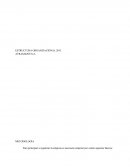 ESTRUCTURA ORGANIZACIONAL 2015.