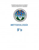 Metodología de las 9's.