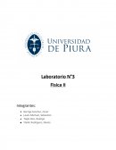 Laboratorio N°3 Fisica II