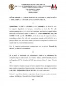 Demanda alimentos x causal