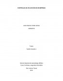 CONTROLES DE APLICACIÓN EN MI EMPRESA