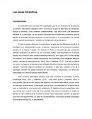 Psicologia historico cultural.