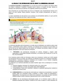 LA CELULA Y SU INTERACCION CON EL MEDIO “LA MEMBRANA CELULAR”