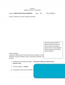 Formato 1. Reflexión acerca del concepto de diversidad