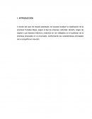 Tipos de empresas. Clasificacion