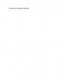 Introducción al trabajo a desarrollar Presentación del sujeto de atención