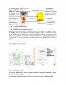 La incubadora neonaltal constituye de una medida terapéutica de urgencia
