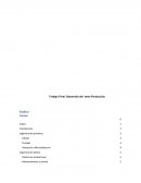 Trabajo Final: Desarrollo del tema Producción