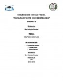 ERUPCION DENTARIA.