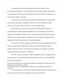 Sintesis de justificacion.