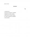 DEBERES EN E AMBITO LABORAL