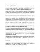 EVOLUCIÓN DE LA EVOLUCIÓN
