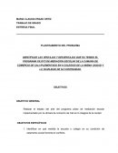 IDENTIFICAR LAS VENTAJAS Y DESVENTAJAS QUE HA TENIDO EL PROGRAMA PILOTO DE MEDIACION ESCOLAR DE LA CAMARA DE COMERCIO DE CALI IPLEMENTADO EN 6 COLEGIOS DE LA MISMA CIUDAD Y LA VIAVILIDAD DE SU CONTINUIDAD.