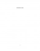 SISTEMA DE CRÉDITO PÚBLICO.