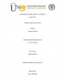 Actividad Programa Ingeniería Electrónica