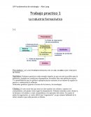 La industria farmacéutica.