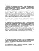 Investicacion de ruminacion en ovinos.
