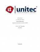 Administración Avance Trabajo Grupal