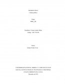 TRABAJO FINAL Cultura política.