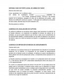 Papel de la defensa en caso de porte ilegal de armas.