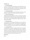 Informe de musculos gemelos.