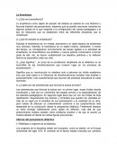 La Enseñanza. Objeto de estudio del didacta