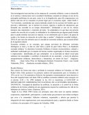 Marco Teorico Economia Solidaria.