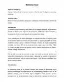 Evaluar el desarrollo de la memoria visual en niños de entre 6 y 8 años en escuelas primarias.