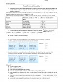 Trabajo Practico Matematica.