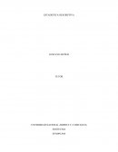 Ejercicio de Estadistica descriptiva.