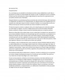 Reflexion de pelicula.