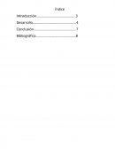 La historia de la graficacion.