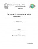 Recuperacion secundaria y mejorada.