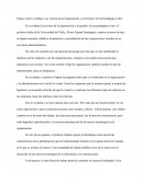 Paradigmas en la administracion.