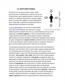 La Verdadera moteicidad humana.