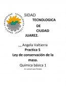 Ley de conservación de la masa.