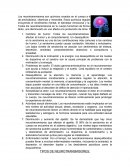 Los Neurotransmisores.
