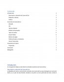 Integradora 11 - Macroeconomia.