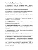 Habilidades Organizacionales.