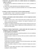 ¿Qué aspectos /hechos de la realidad observaron los investigadores y captaron su atención?