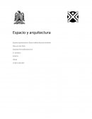 El espacio geométrico configurativo.