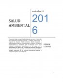 Salud ambiental.