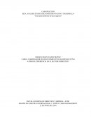 CASO PRÁCTICO IKEA: ANALISIS ESTRATEGICO IMPLEMENTACION Y DESARROLLO